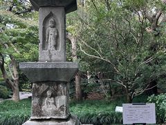 -汇龙潭