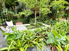 -深圳仙湖植物园