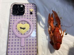 -盱眙虾怪·旗舰店