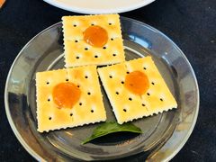 -柑橘农场