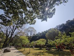 -灵光寺