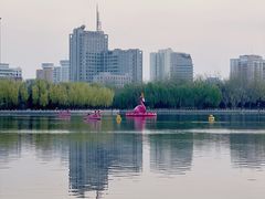 -莲花池公园