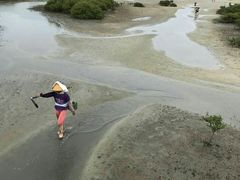 -北海金海湾红树林生态旅游区