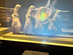 -世界恐龙谷景区