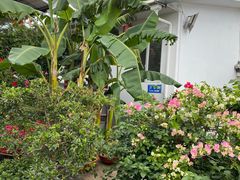 -瑞丰园庭院餐厅·白族传统家常菜