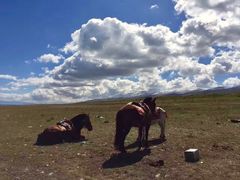 -青海湖国家重点风景名胜区