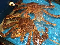 -海景壹号大酒店(惠钱路店)