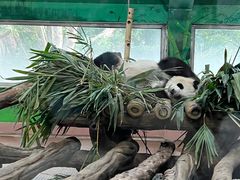 -广州动物园