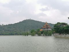 -顺峰山公园