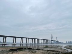 -中澳友谊花园