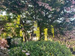 -茅山东方盐湖城景区