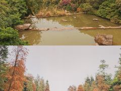-云溪植物园