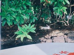 -南沙蒲洲花园