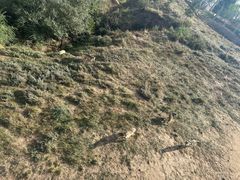 -鄂尔多斯野生动物园