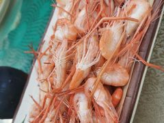 -崖口红树林海鲜餐厅