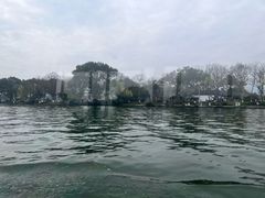 -西湖外事游船(花港观鱼码头)