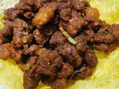 -紫光园·烤鸭(吕家营店)