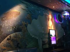 -佰迪乐KTV(阳桥店)