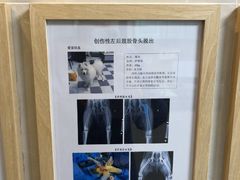 -半岛宠物医院24小时·内窥镜·牙科·碎石中心(府城大道店)