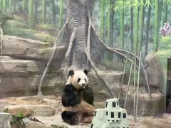 -灵玲国际马戏城