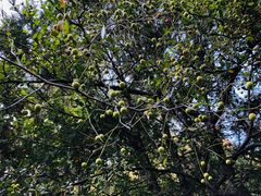 -碓臼峪自然风景区