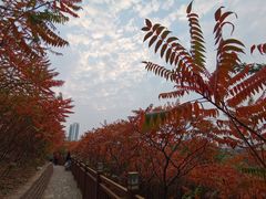 -南翠屏公园