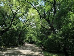 -北陵公园
