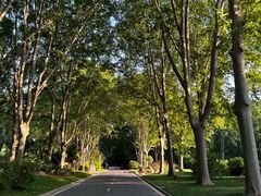 -河南省黄河迎宾馆