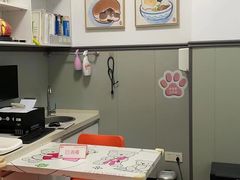 -伟伟宠物医院·瑞派猫友好医院·猫科(光谷店)