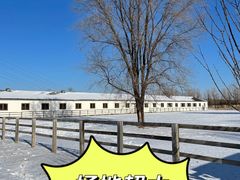 -北京群众马术培训基地