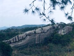 -大罗山风景区