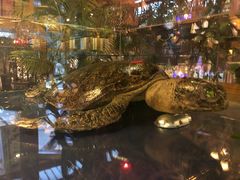 -莫太花餐厅(河北路店)