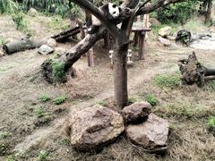 -宁波野生动物园