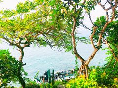 -Rock Bar Bali(Bali)