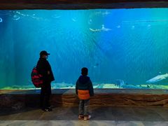 -华夏文旅海洋公园