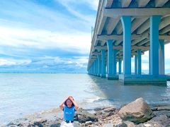 -宝安西湾红树林湿地公园