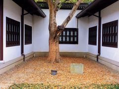-上海醉白池公园