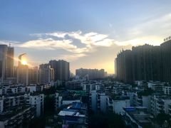 -守柴炉烤鸭(科华中路王府井店)