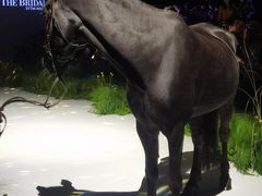 -交通银行前滩31演艺中心