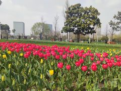 -大宁公园