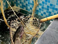 -九寨沟石锅鱼(沣峪口二十年店)