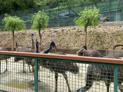 -栾川竹海野生动物园