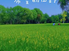 -北坞公园