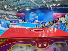 -重庆市奥林匹克体育中心-游泳跳水馆