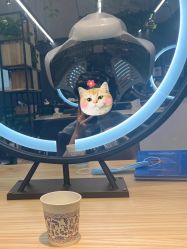 -藤野造型·专业烫染店
