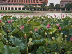 -浙江大学(海宁国际校区)