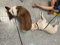 世博展览馆-东浩兰生上海世博展览馆