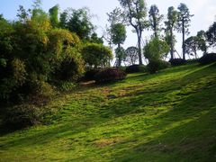 -枫香湖儿童公园