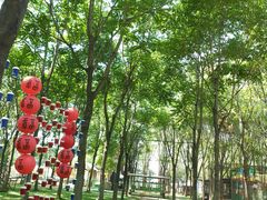 -草根堂农场