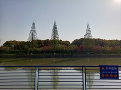-高东镇樱花园